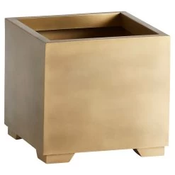 Aster Gold Planter