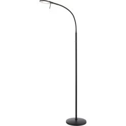 Dessau Flex 42 Inch 13.00 Watt Museum Black Swing Arm Floor Lamp Portable Light