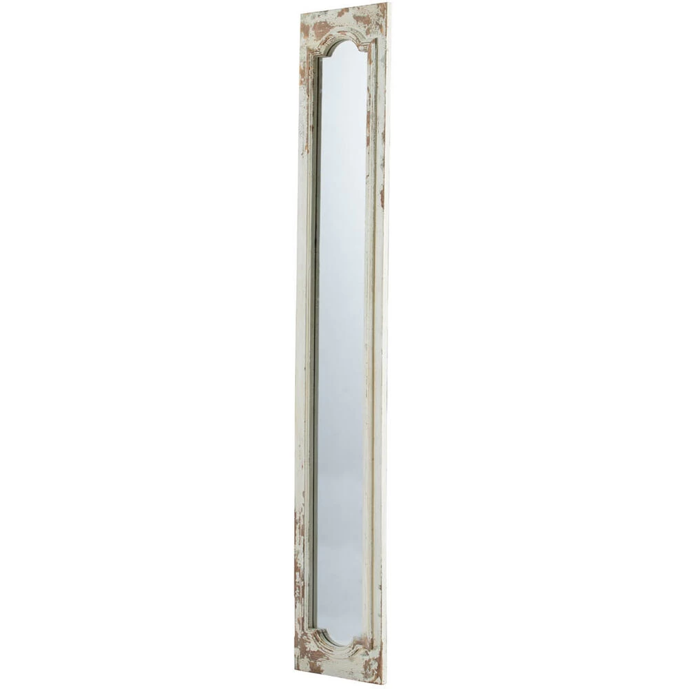 Anita 69 X 12 Inch Clear Floor Mirror - Image 2