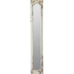 Anita 69 X 12 Inch Clear Floor Mirror