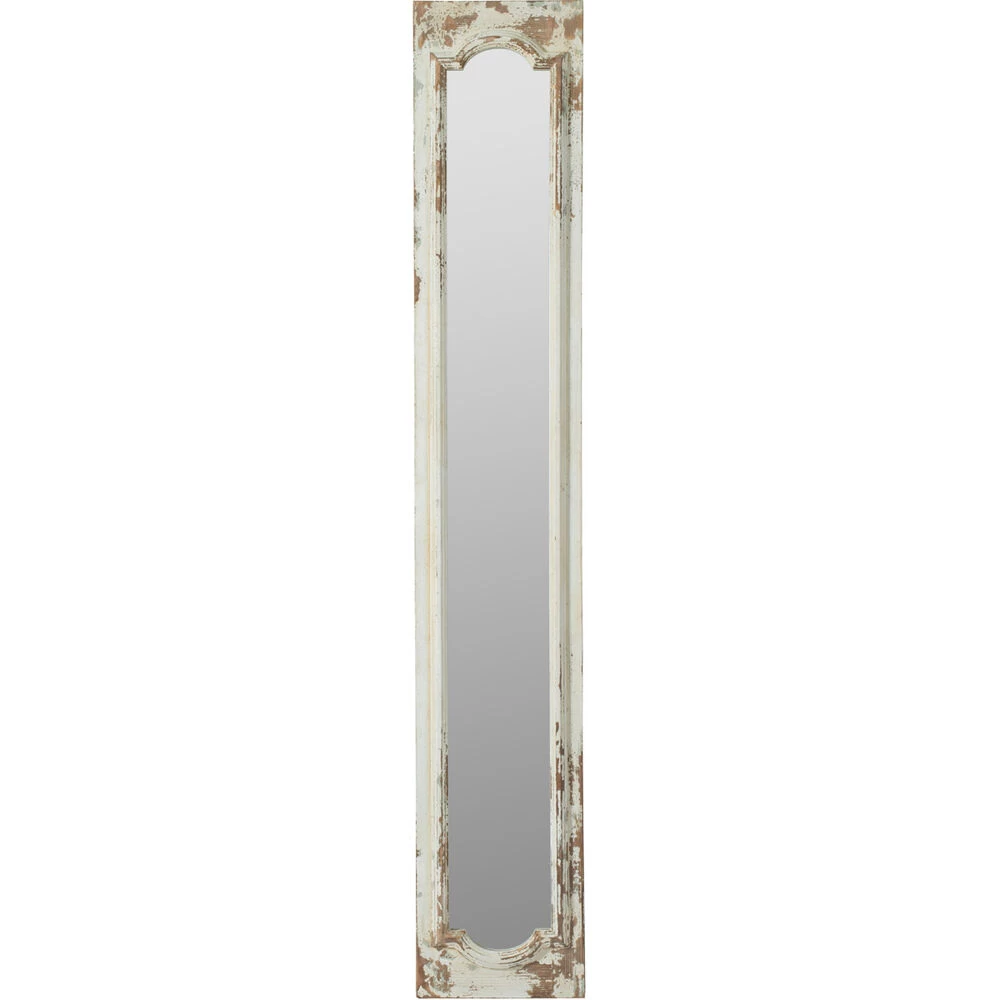 Anita 69 X 12 Inch Clear Floor Mirror