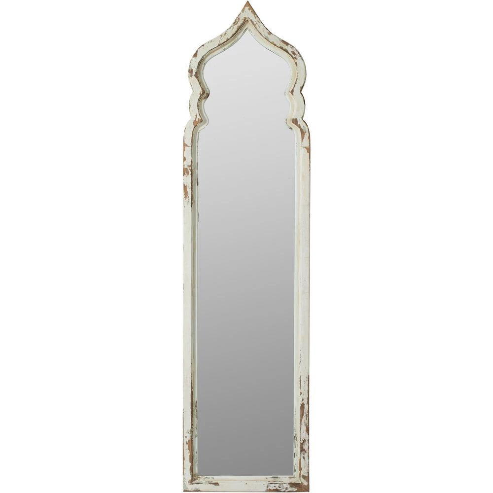Anita 73 X 19 Inch Clear Floor Mirror