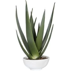 Evarado Glossy White Planter