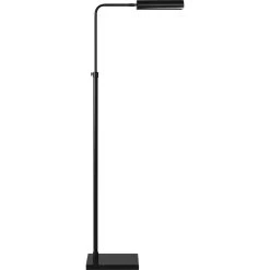 Fadia 60 Inch 40.00 Watt Matte Black Floor Lamp Portable Light