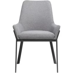 Lloyd Grey Dining Chair, Set Of 2