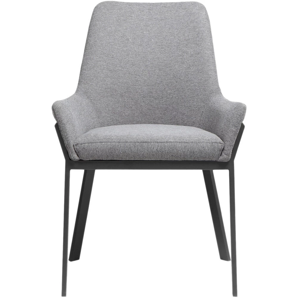 Lloyd Grey Dining Chair, Set Of 2