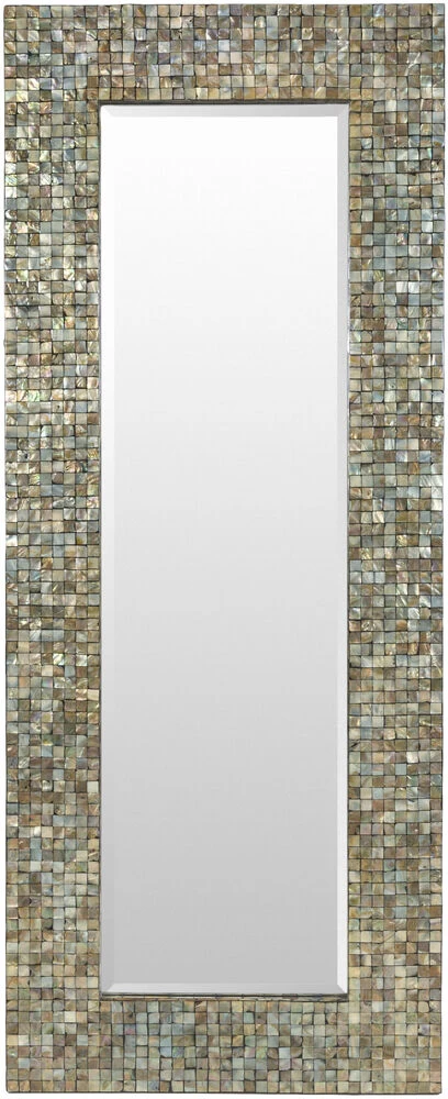 Iridescent 58.7 X 23.6 Inch Brown Full Length/Oversized Mirror, Rectangle