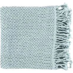 Tibey 70 X 50 Inch Ice Blue Throw, Rectangle